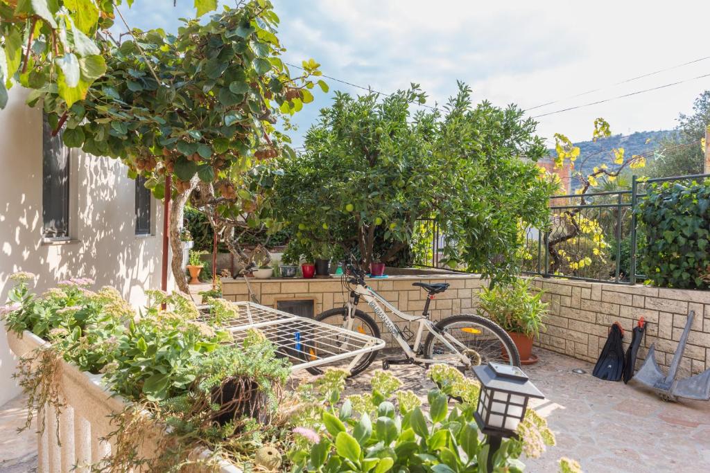 Vonkajšia záhrada v ubytovaní Apartments and rooms with parking space Marina, Trogir - 5953