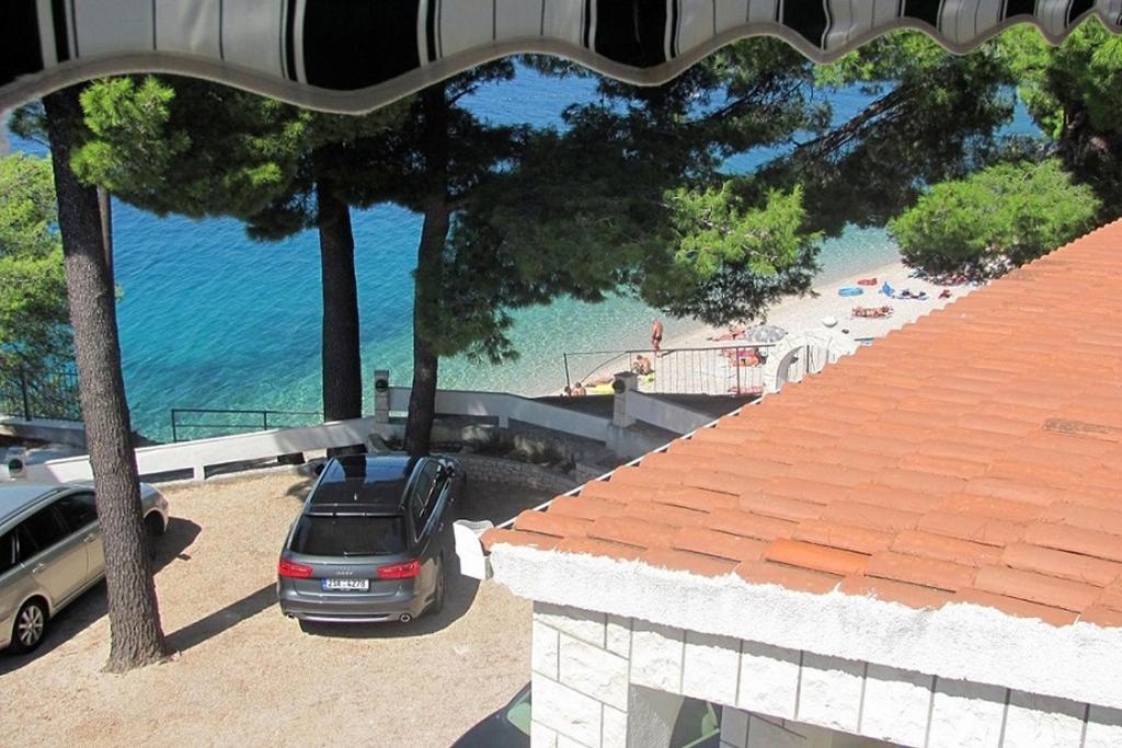 Příroda nedaleko apartmánu