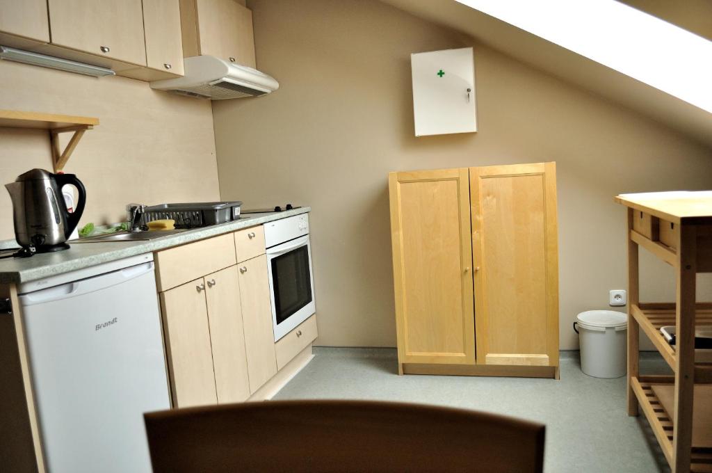 Kuchyň nebo kuchyňský kout v ubytování Hostel Lípa - Továrna