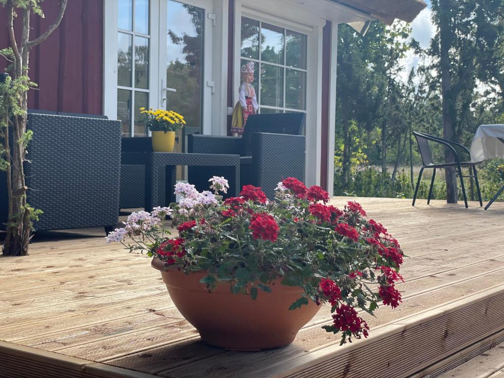 Zahrada ubytování Käspri Farmstay