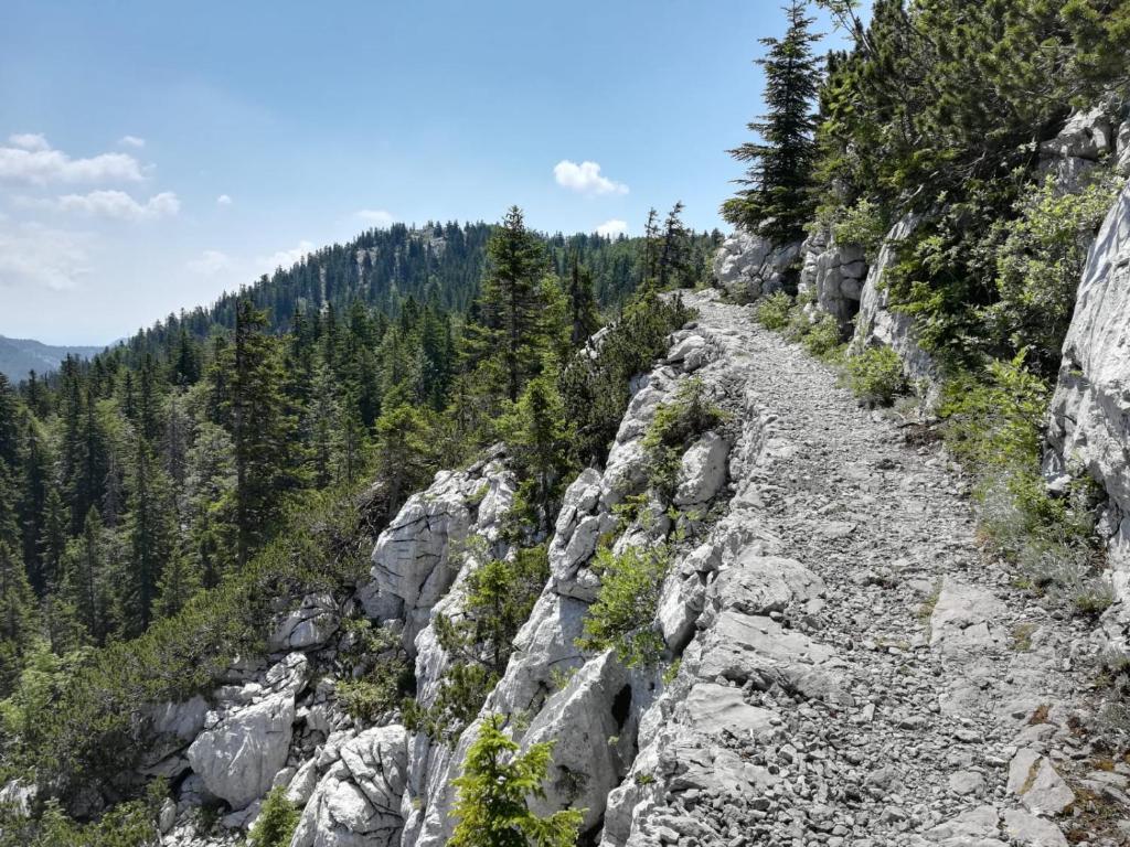 Příroda nedaleko apartmánu