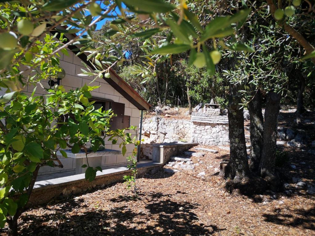 ein kleines Gebäude mit einem Baum davor in der Unterkunft Holiday Home Božo in Korčula