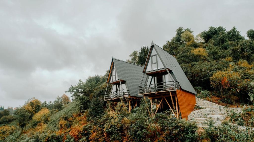 Hayela Bungalov Luxury
