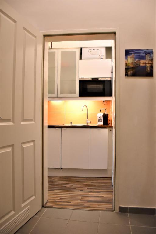 Η κουζίνα ή μικρή κουζίνα στο Studio-Apartment Augarten