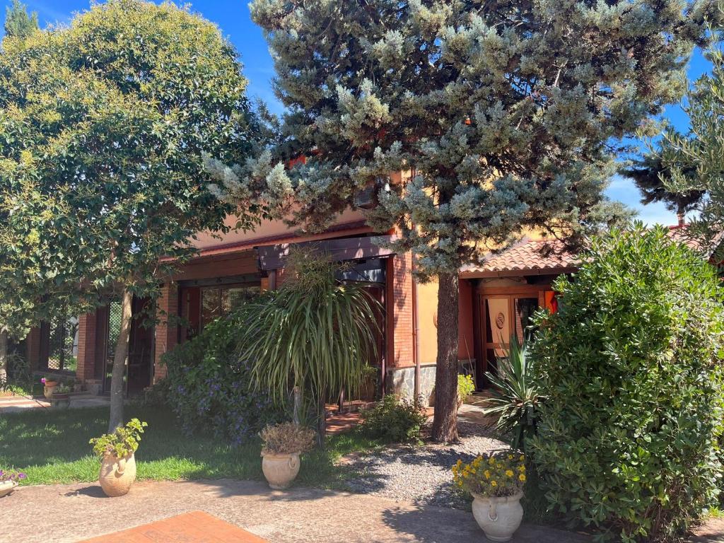 卡斯楚維拉里的住宿－B&B Casa Vigne，前面有树木和植物的房子