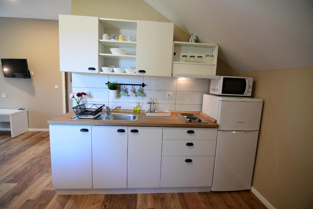 Kuchyňa alebo kuchynka v ubytovaní Apartmani Zagi