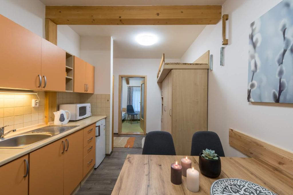 Kuchyň nebo kuchyňský kout v ubytování Rodinné apartmány Rafael Bedřichov