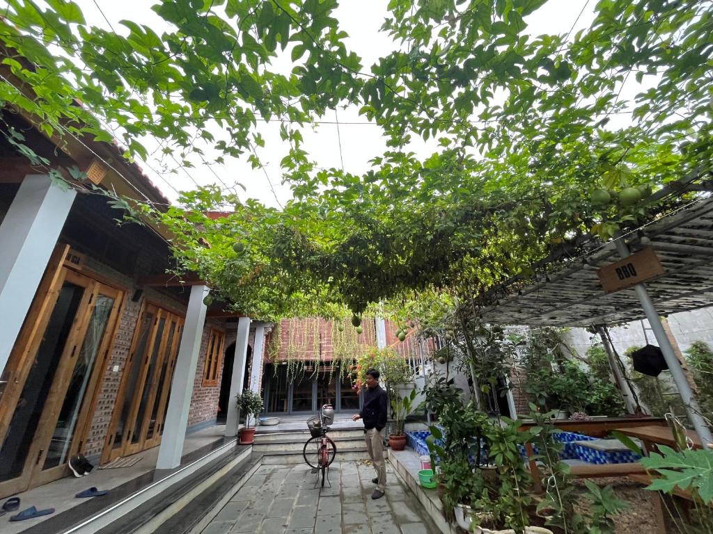 Vườn quanh Đường lâm village homestay
