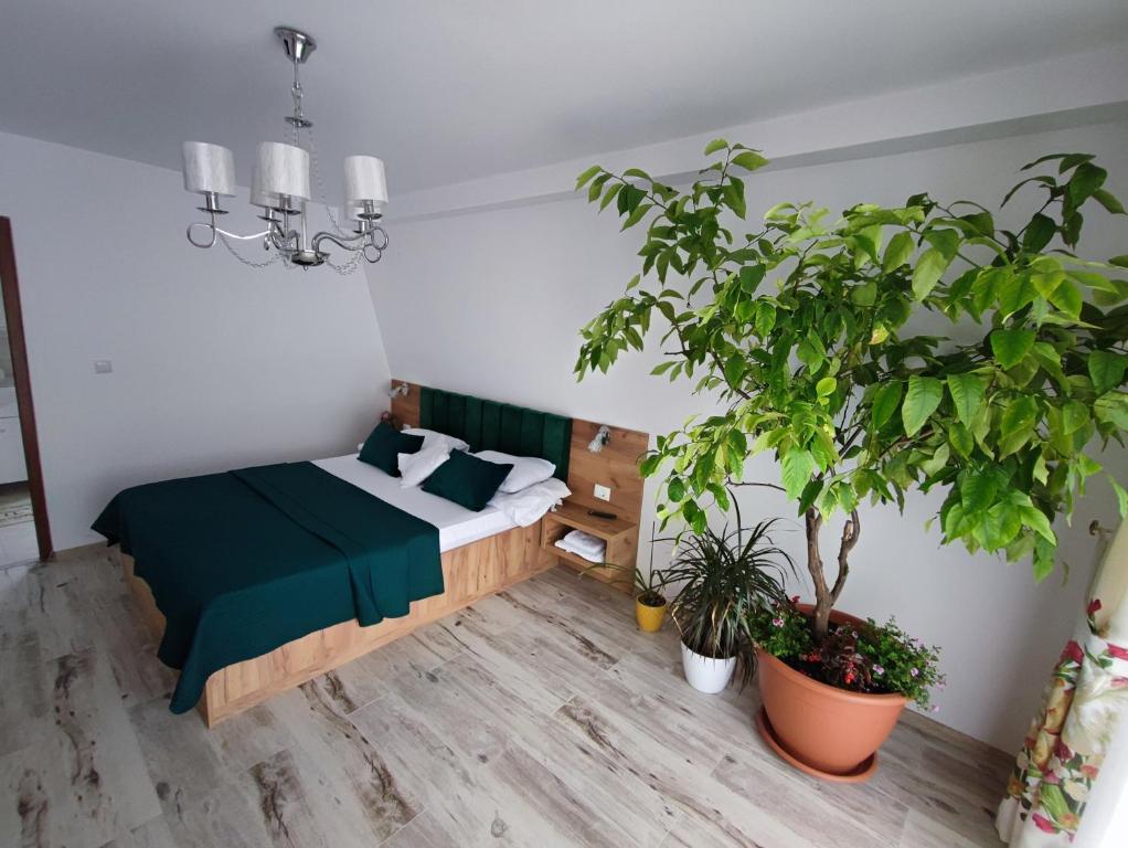 a bedroom with a bed and a potted plant at Casa de vacanta Estera Rucar in Rucăr