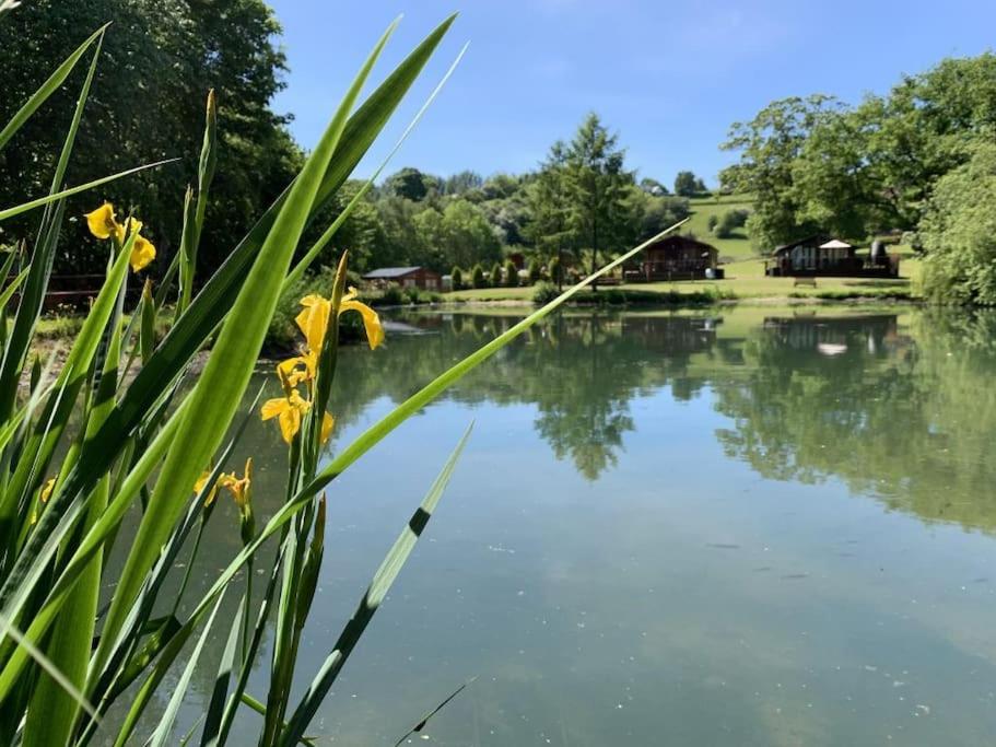 Φωτογραφία από το άλμπουμ του Valley View Lodge σε Welshpool
