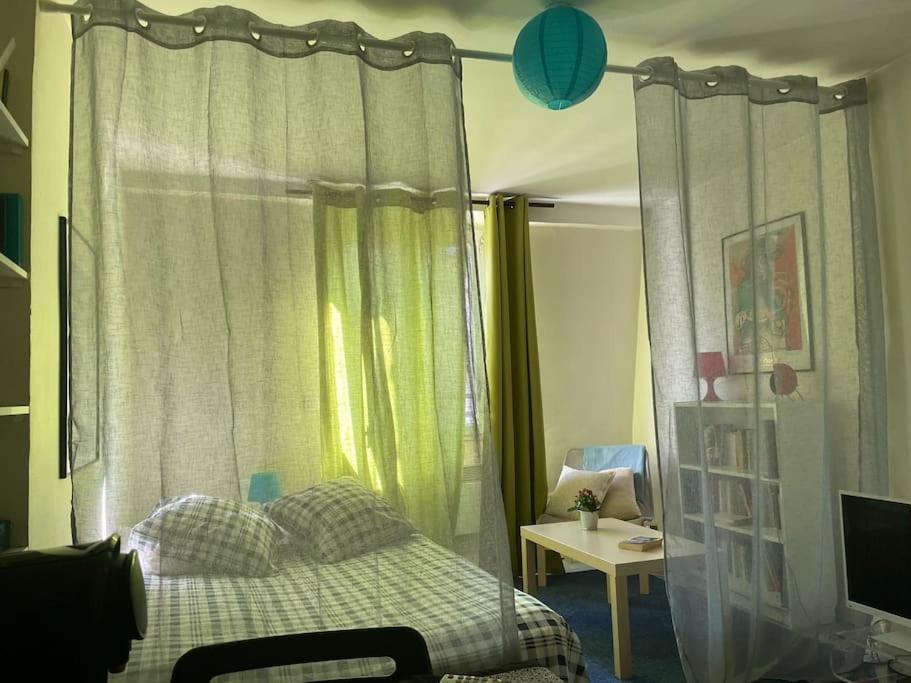 a bedroom with a bed with curtains and a desk at charmant studio sous les toits de Paris in Paris