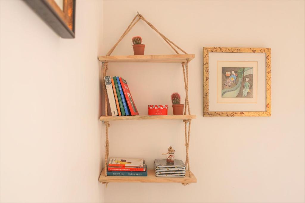 The library in Az apartmant