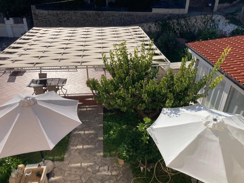 guesthouse Libertas - 19