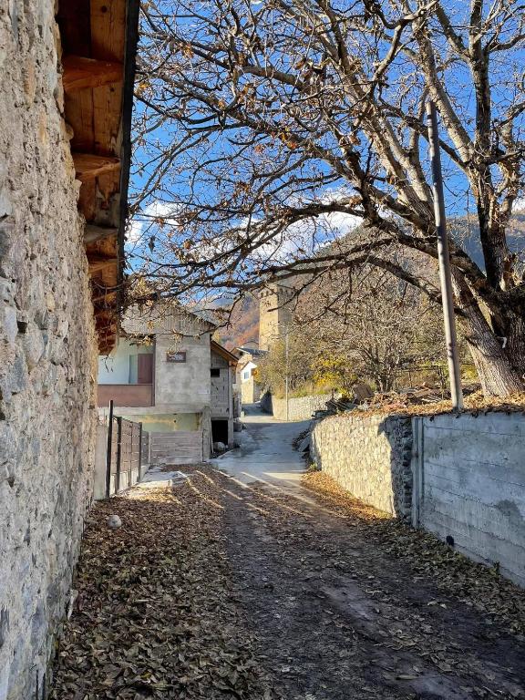 Fotografie z fotogalerie ubytování Lavdila v destinaci Mestia