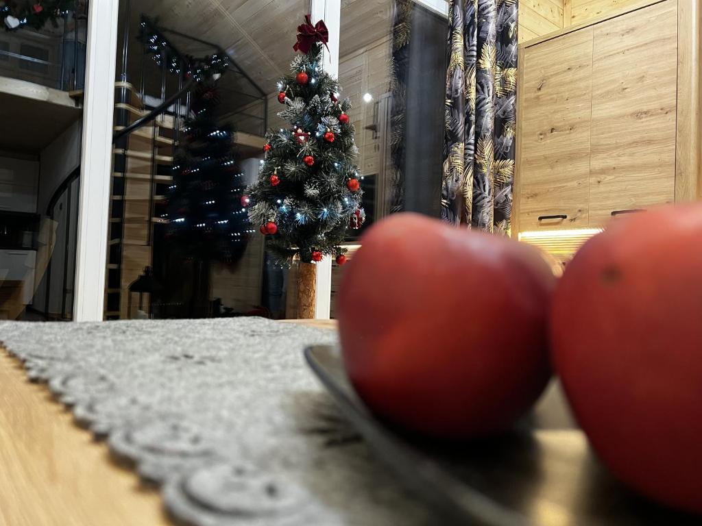 Fotografie z fotogalerie ubytování Domek Misi - Misiowa Polanka - domek z możliwością dodatkowego wynajęcia sauny v destinaci Kamienna Góra