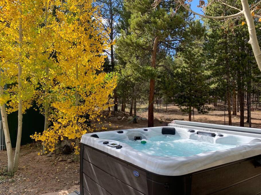 King Bed Mt Elbert Basecamp Hot Tub, Twin Lakes Precios
