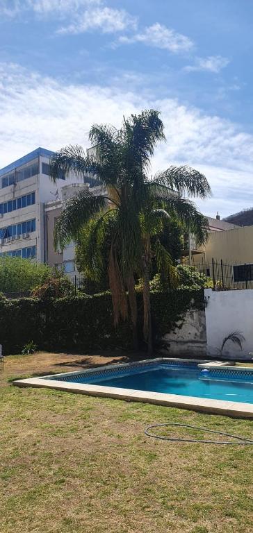 una palmera y una piscina en un patio en Casa Grande Salta pleno centro de la ciudad en Salta