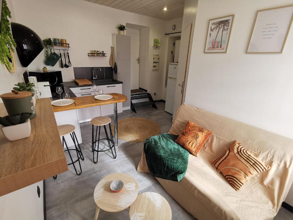 salon z kanapą i kuchnią w obiekcie Studio cosy proche du centre-ville w mieście Paray-le-Monial