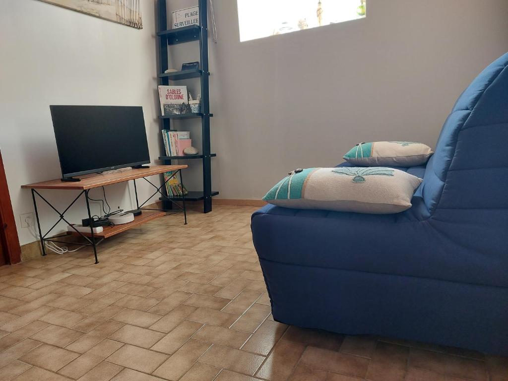 Televízia a/alebo spoločenská miestnosť v ubytovaní Gîte la Salicorne