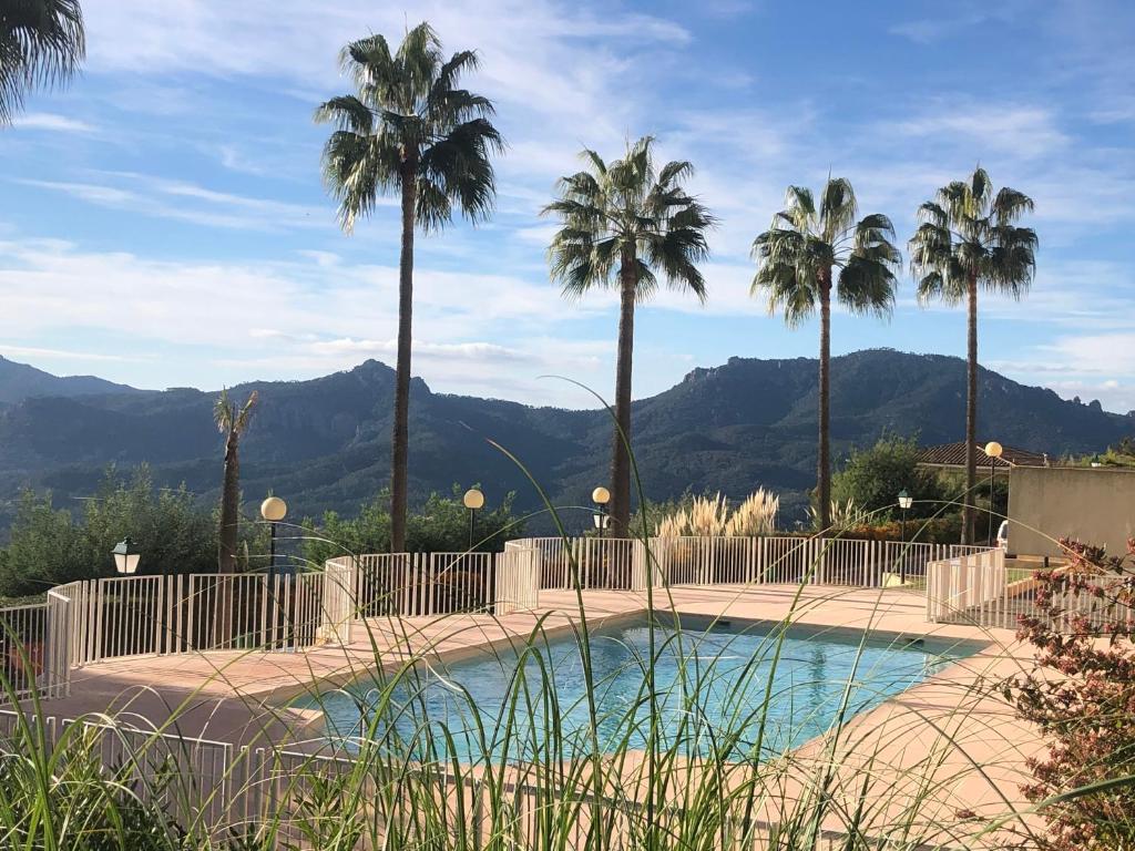 une piscine avec des palmiers et des montagnes en arrière-plan dans l'établissement Appartement du Palais -classé 4 étoiles - Axelle Loc'Appart, à Mandelieu-la-Napoule
