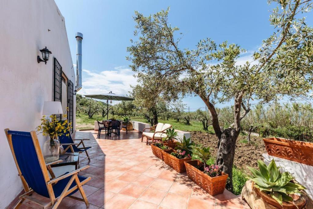 patio ze stołami, krzesłami i drzewem w obiekcie Villa Lorenza Private beach w mieście Caronia