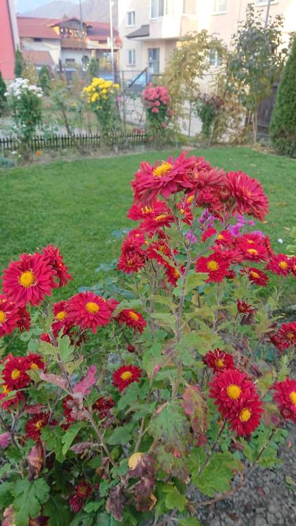 Giardino di Casa Fabrizio