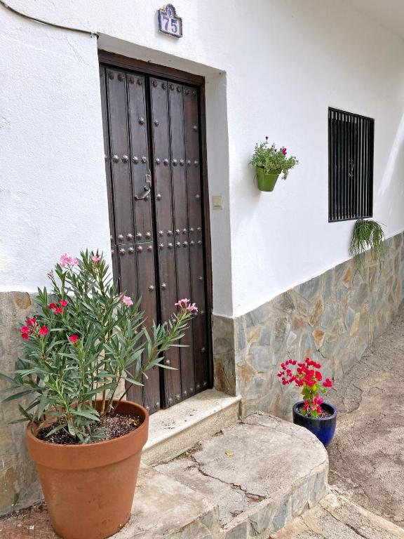 Zahrada ubytování Casa Amigos Sorvilan- La Palmera