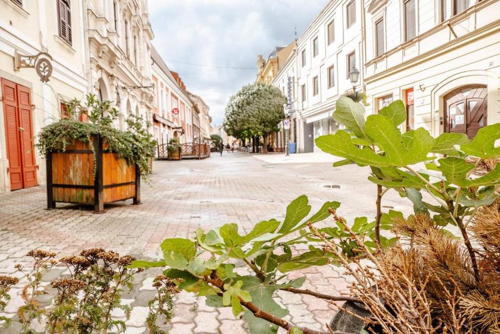 Okolie apartmánu