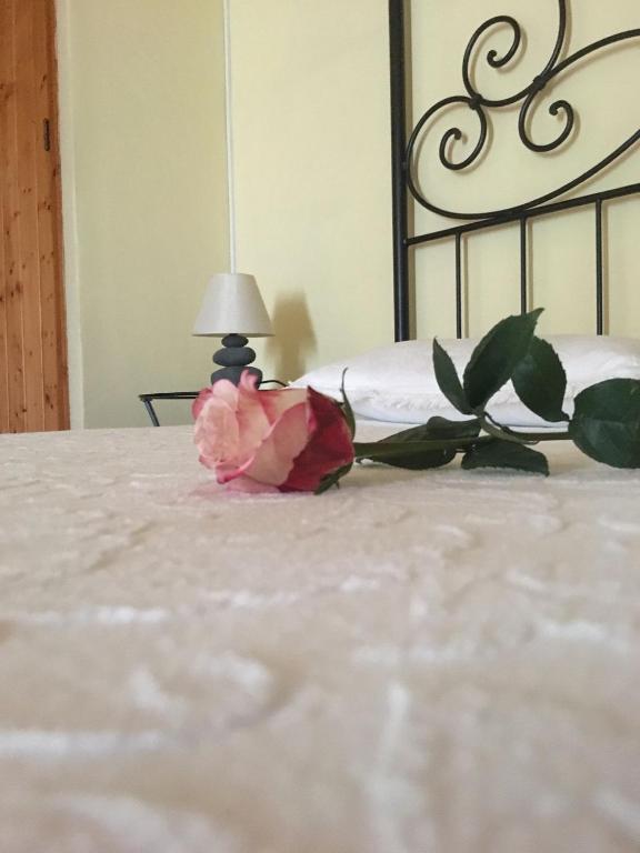 Foto sihtkohas Castro Marim asuva majutusasutuse Varandas do Vale Furnazinhas galeriist