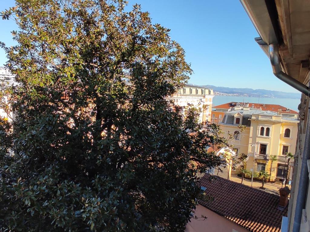 a large tree sitting on top of a building at Apartment in Opatija with Air condition, WIFI, Washing machine (905-2) in Opatija