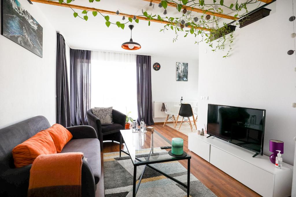 a living room with a couch and a tv at Modern Condo with parking, Sibiu in Sibiu