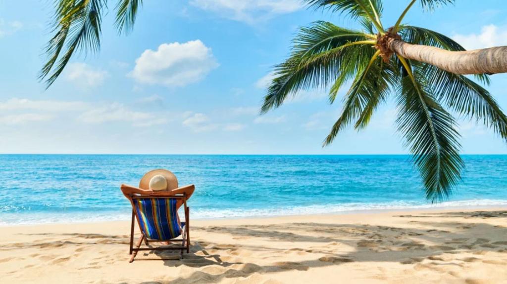 una sedia su una spiaggia con una palma e l'oceano di Casa Nahua Maya Centro Isla Mujeres a Isla Mujeres