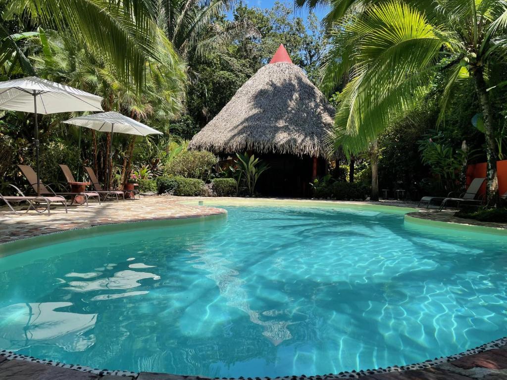 a swimming pool at a resort with palm trees at Hotel El Pequeño Gecko Verde in Sámara