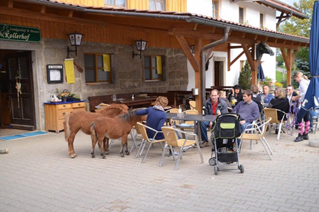 Hosté ubytování Kollerhof