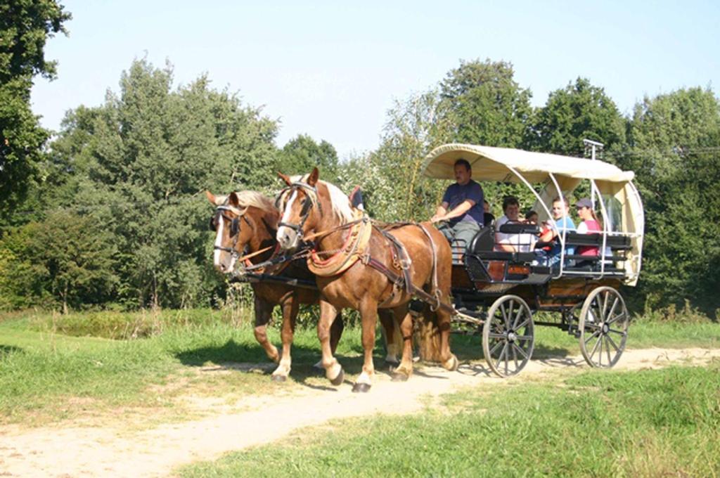 Hosté ubytování Kollerhof