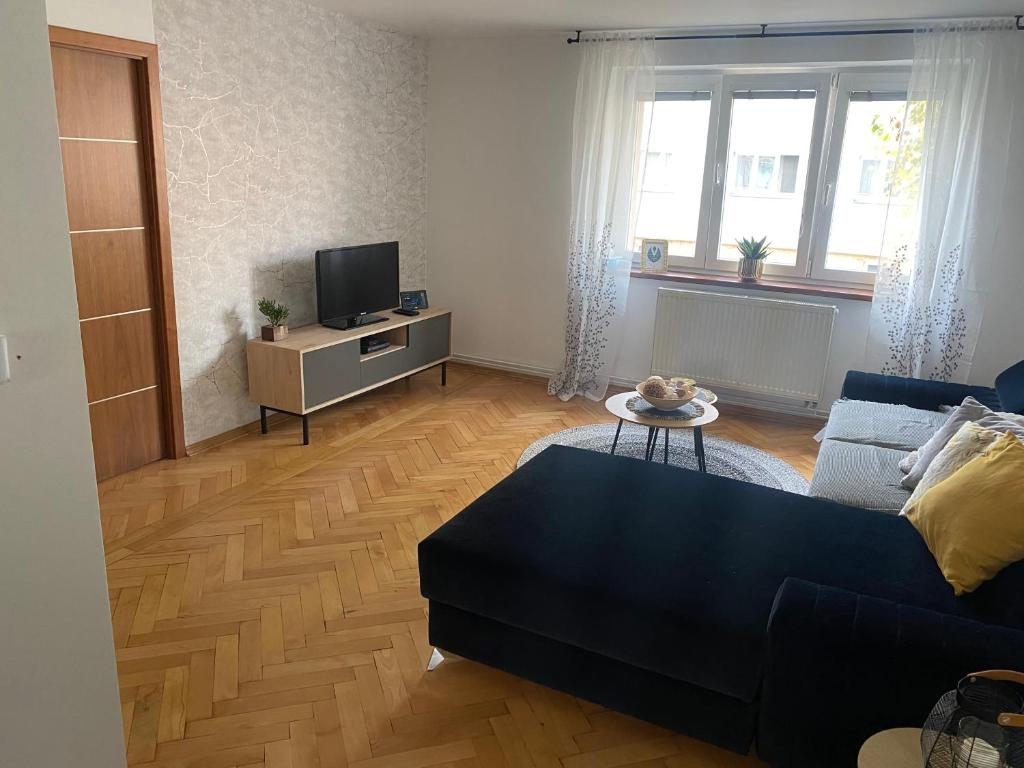 a living room with a blue couch and a tv at Apartmán Višňovka in Pardubice