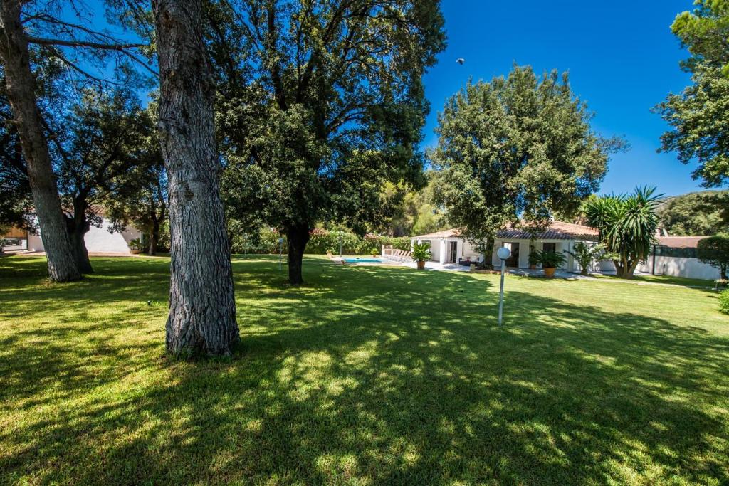 Zahrada ubytování Ideal Property Mallorca - Casa Encinar