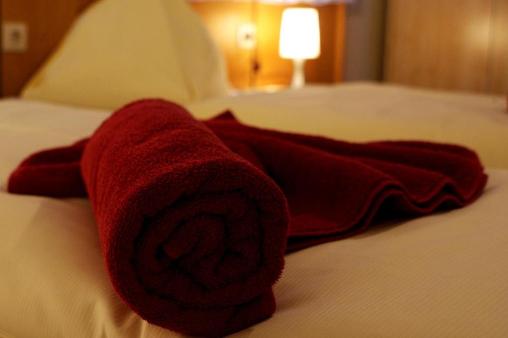 Gästehaus Elisabeth - 14