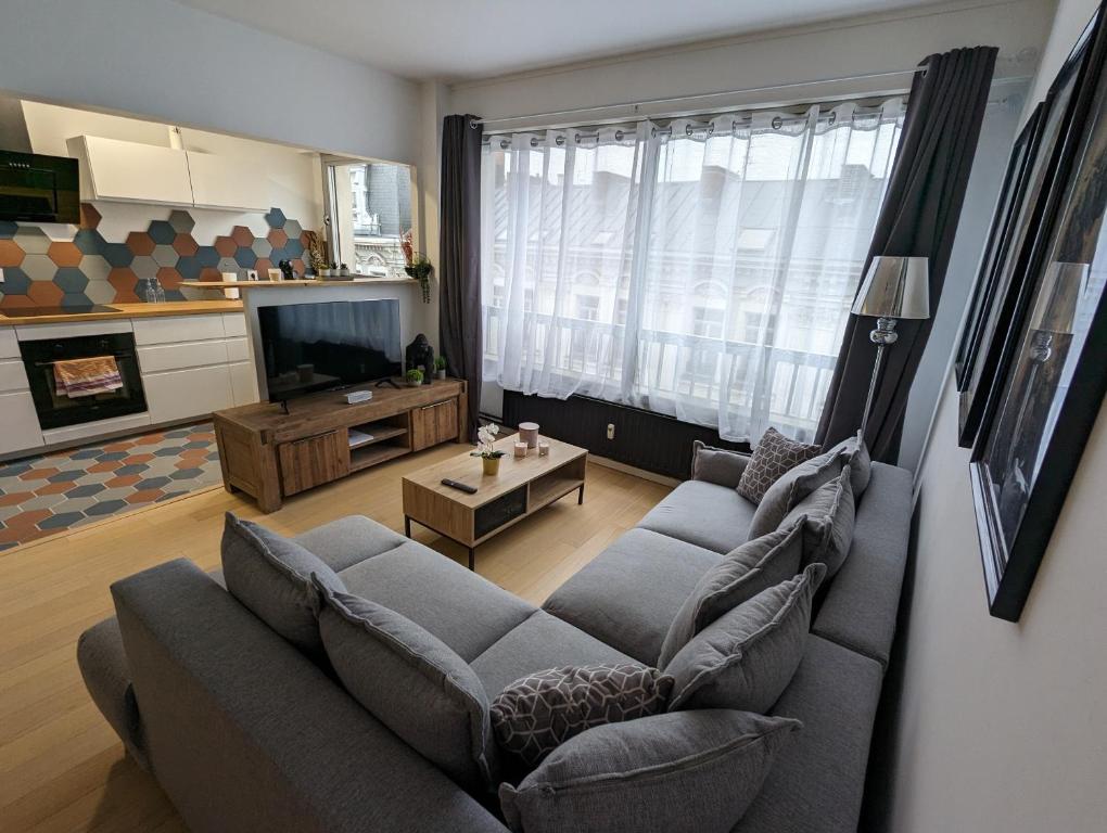 a living room with a couch and a tv at Appt cosy en cœur de ville proche Lille - 15 min in Tourcoing