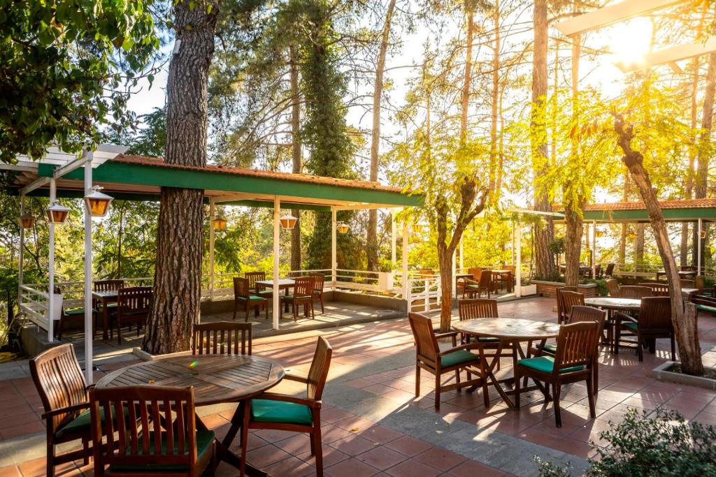Zahrada ubytování Forest Park Hotel