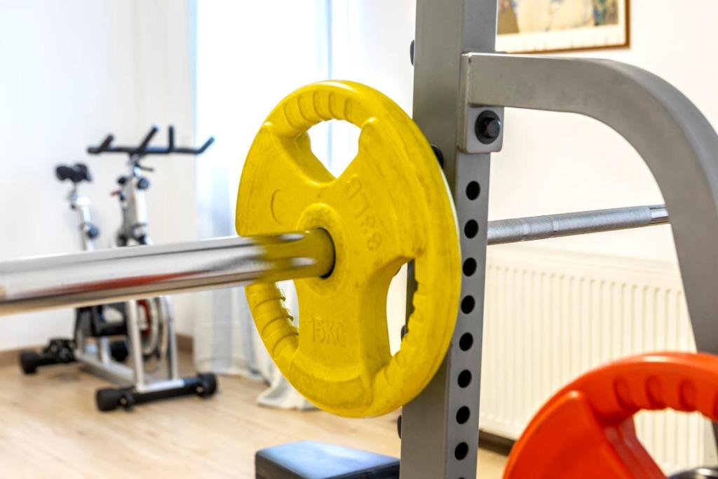 Fitness centrum a/nebo fitness zařízení v ubytování Forest Park Hotel
