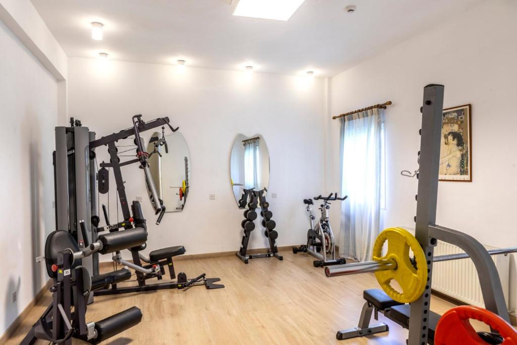 Fitness centrum a/nebo fitness zařízení v ubytování Forest Park Hotel