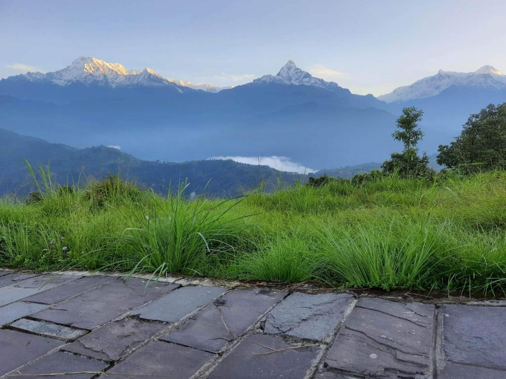 Moonlight Camping Site And Homestay