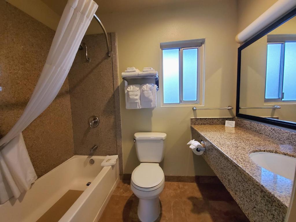 Quality Inn & Suites Anaheim at the Park - Family Room - Non Smoking