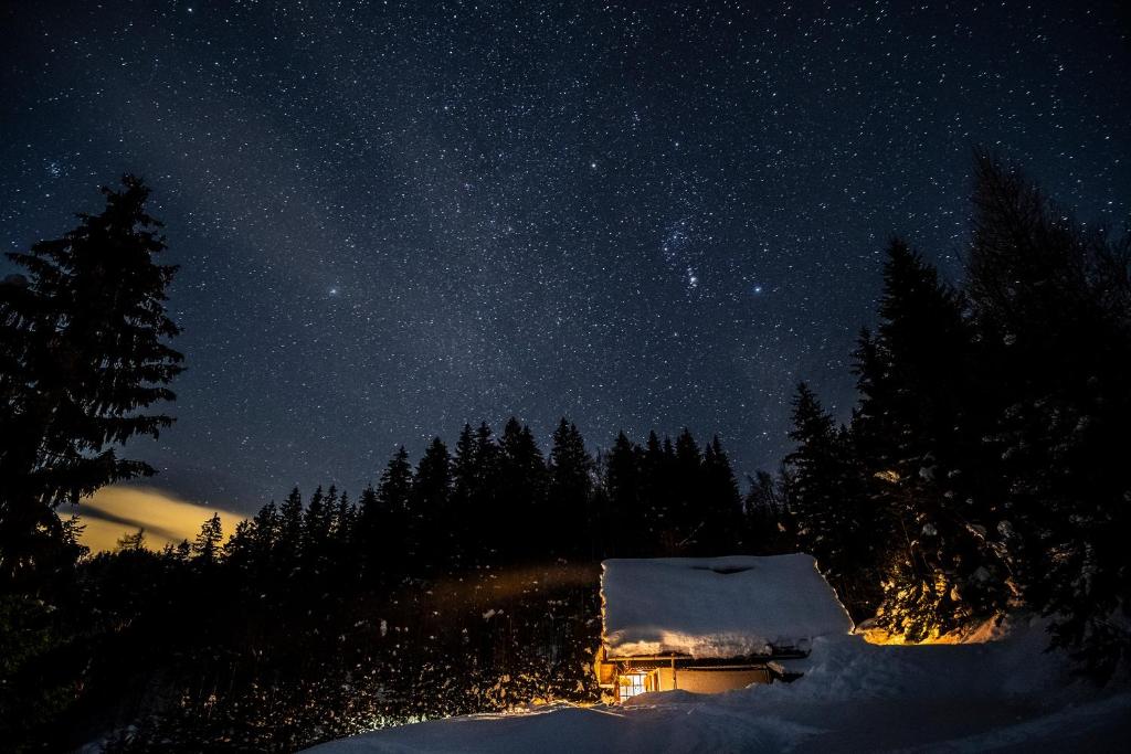 eine Hütte unter einem Sternenhimmel bei Nacht in der Unterkunft Fairytale Cottage - Peaceful Getaway Near Bled in Zgornje Gorje