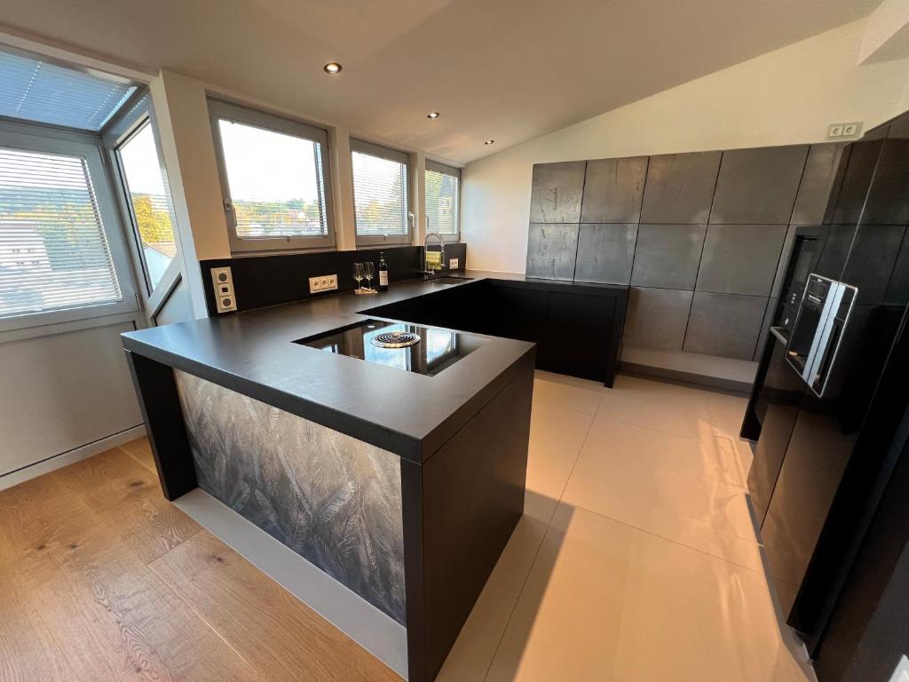 Kuchyň nebo kuchyňský kout v ubytování Luxus Loft über den Dächern von Roding