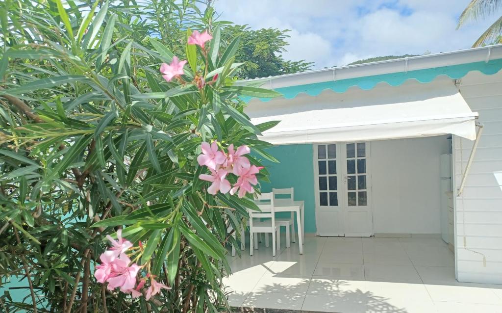 a view of the front of a house with pink flowers at La Rose du Bresil Marie-Galante in Capesterre
