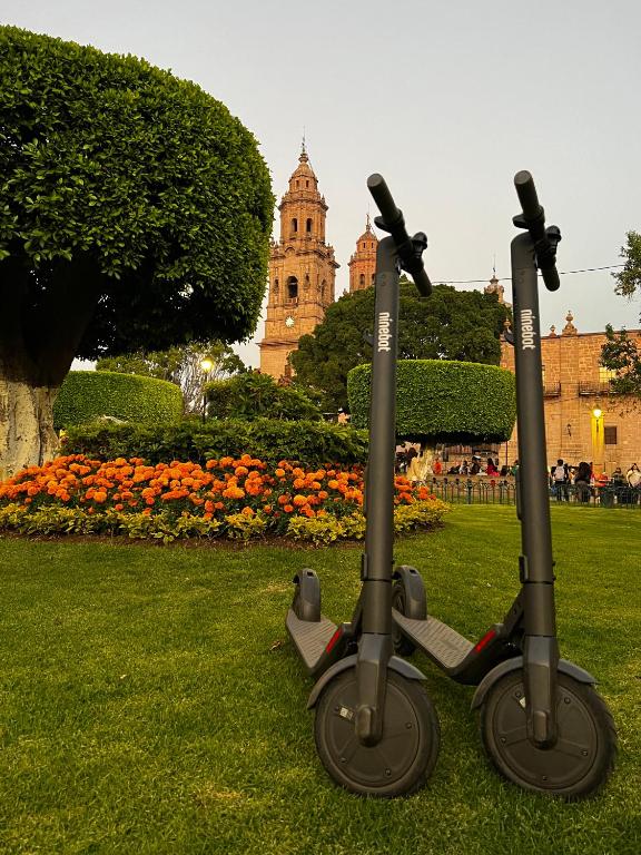 Zahrada ubytování El Suburbio - Morelos Sur