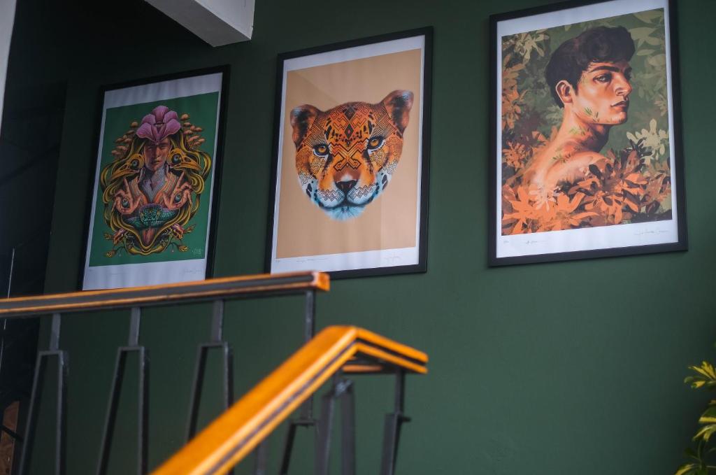 Fotografie z fotogalerie ubytování Black Llama Hostel Miraflores v destinaci Lima