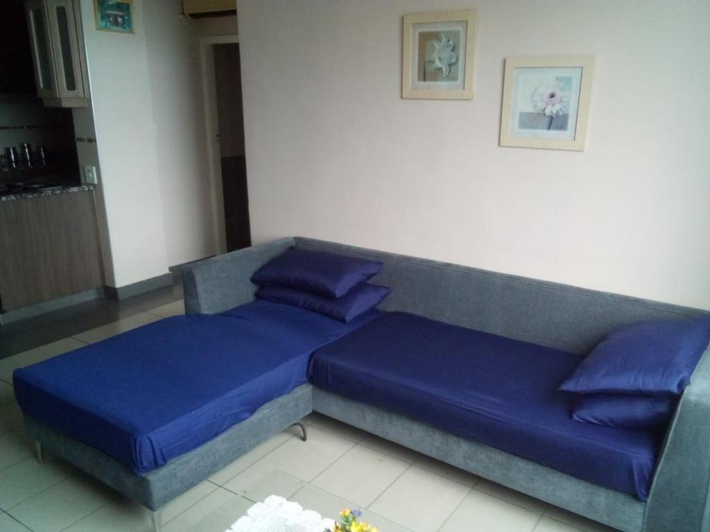 Amandonia 903 - Housity